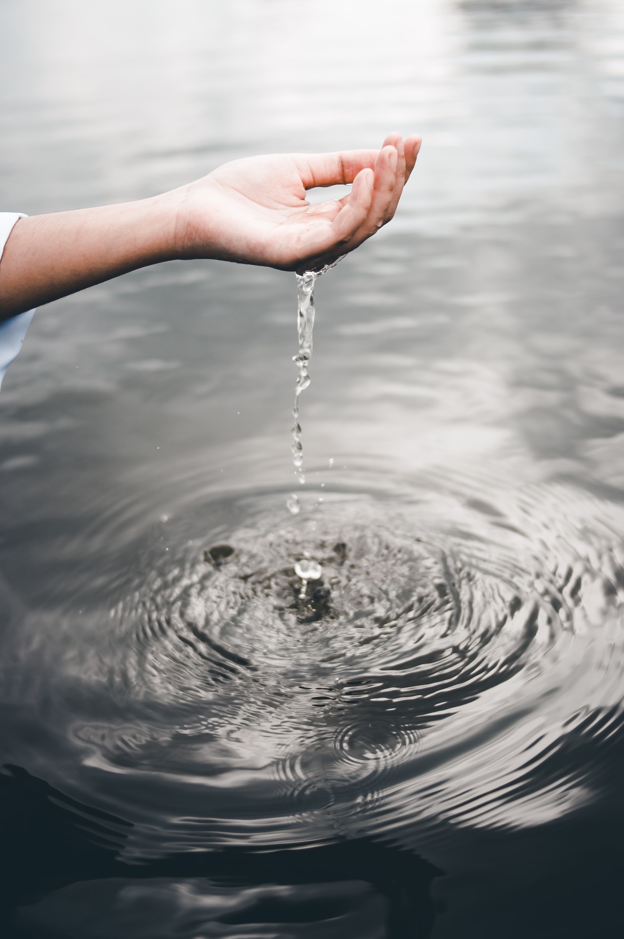 This is Water: The Power of Awareness