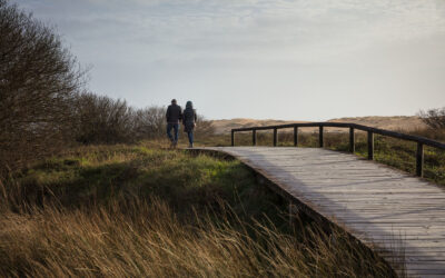 Crossing the Bridge: The Power of Validation